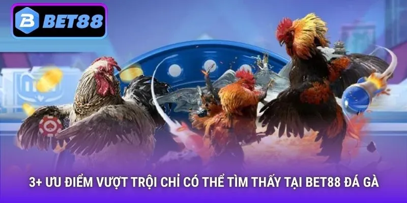 3+ ưu điểm vượt trội chỉ có thể tìm thấy tại Bet88 đá gà