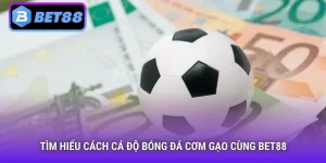 Cách cá độ bóng đá cơm gạo