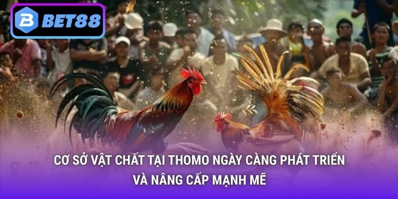 Cơ sở vật chất tại Thomo ngày càng phát triển và nâng cấp mạnh mẽ