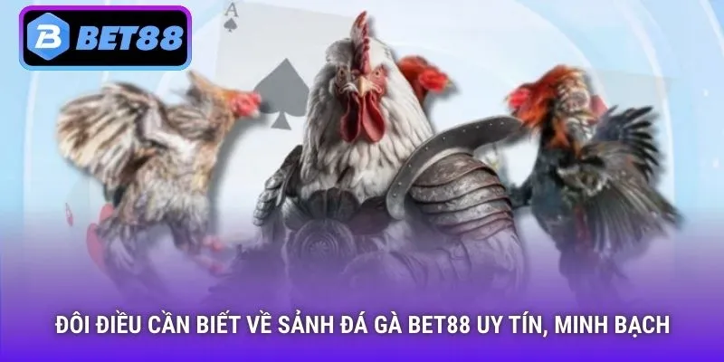 Đôi điều cần biết về sảnh đá gà Bet88 uy tín, minh bạch