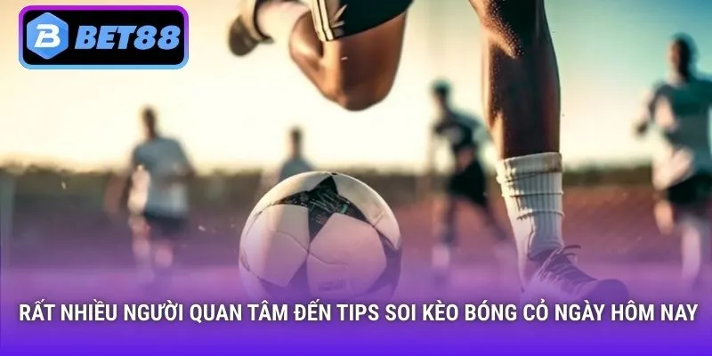 Rất nhiều người quan tâm đến tips soi kèo bóng cỏ ngày hôm nay